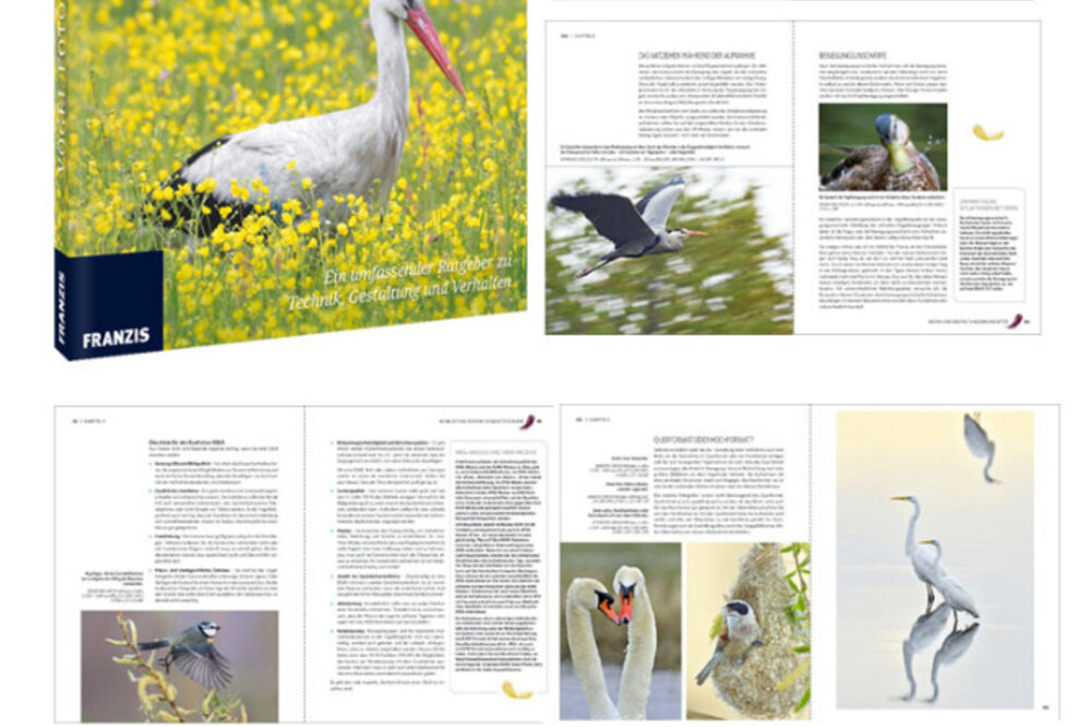 FRANZIS Fotoschule Vögel fotografieren - eine Königsklasse der Naturfotografie
