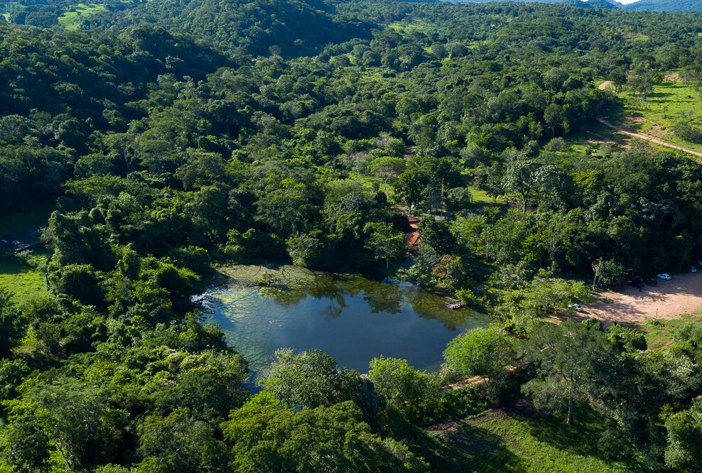 Pantanal: Brasiliens grünes Abenteuer