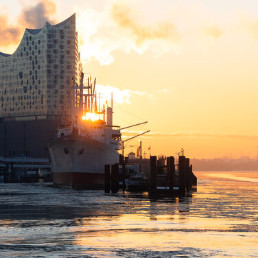 Morgensonne an der Elbe in Hamburg