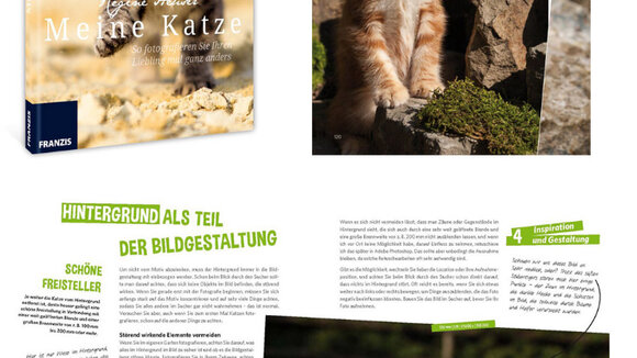 Franzis Tierfotobuch - Meine Katze - So fotografieren Sie Ihren Liebling mal ganz anders