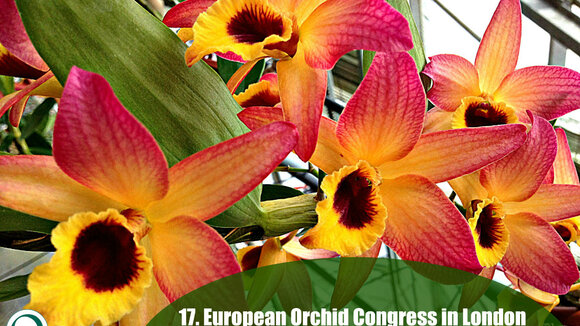 17. Europäische Orchideen Show & Konferenz vom 9. - 12. April 2015 in London mit Adel aus Niedersachsen