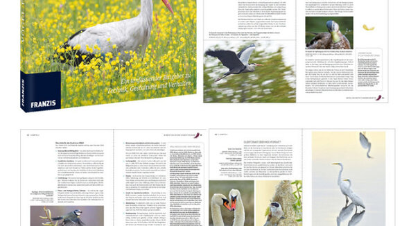 FRANZIS Fotoschule Vögel fotografieren - eine Königsklasse der Naturfotografie