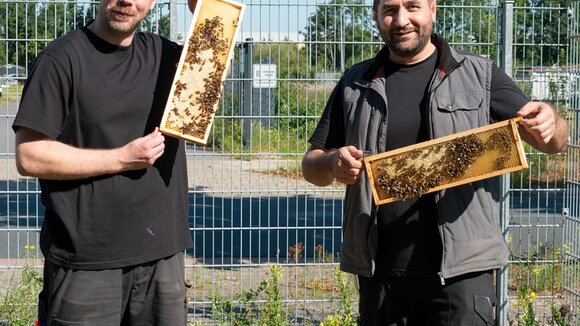 Ein Zuhause für 50.000 Mitarbeiter*innen: terminic GmbH verlängert Bienenpatenschaft um ein weiteres Jahr